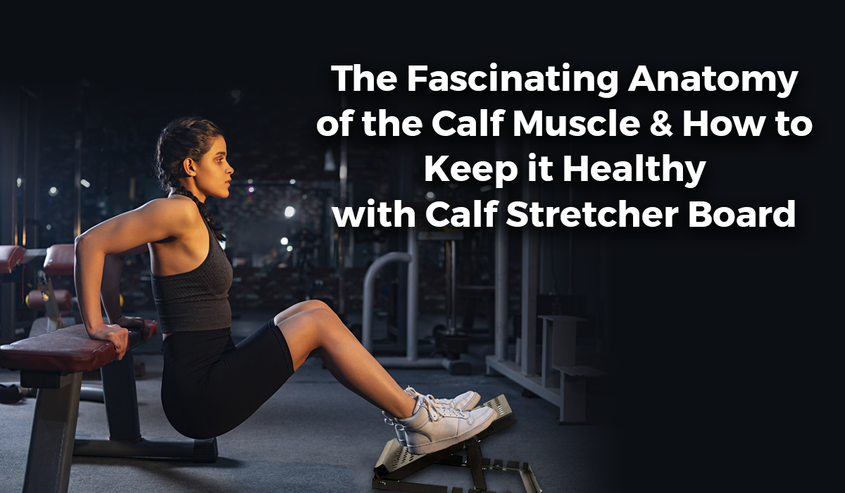 The Fascinating Anatomy of the Calf Muscle and How to Keep it Healthy with Calf Stretcher Board